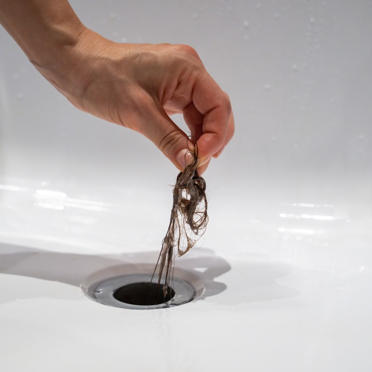 Just another WordPress site