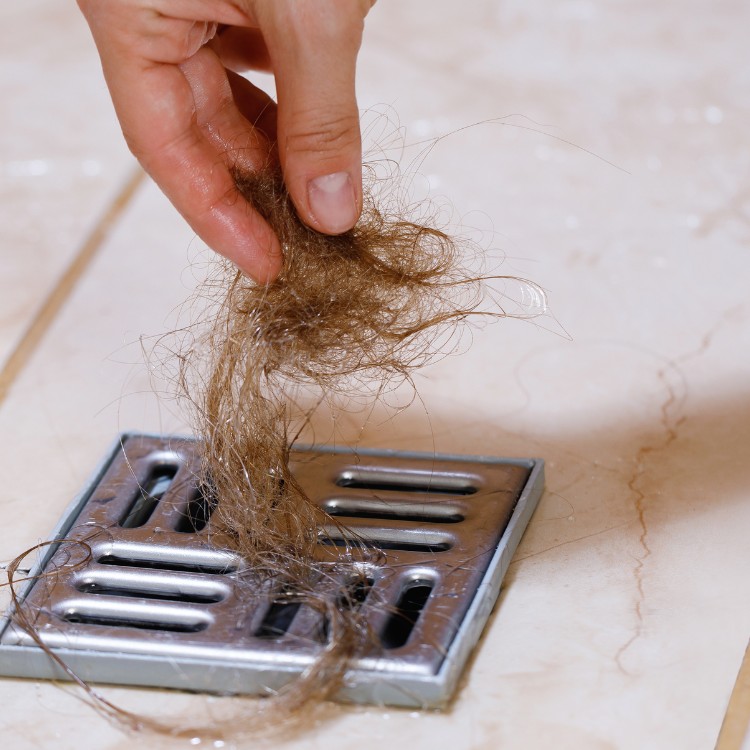 Just another WordPress site