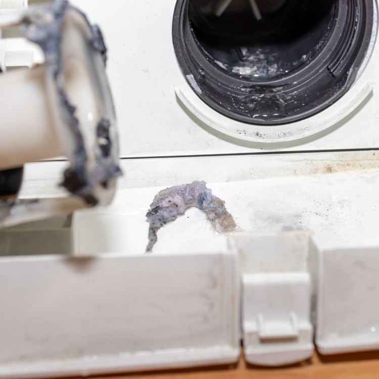 Just another WordPress site