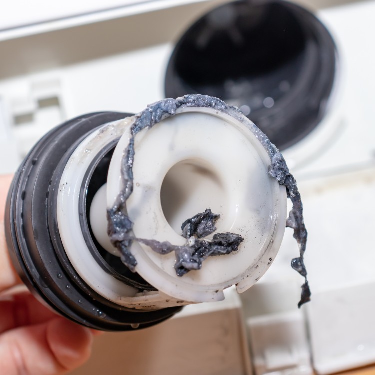 Just another WordPress site